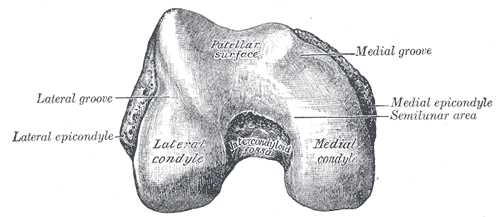 File:Gray246.png