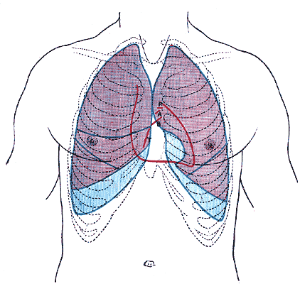 File:Gray1216.gif