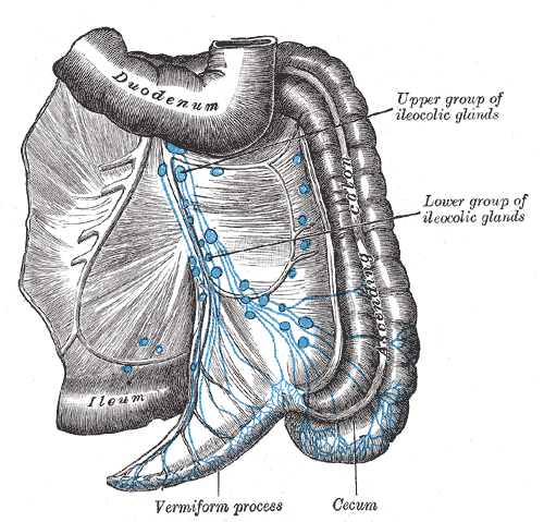 File:Gray616.png