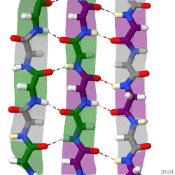 File:Animated Beta sheet.gif