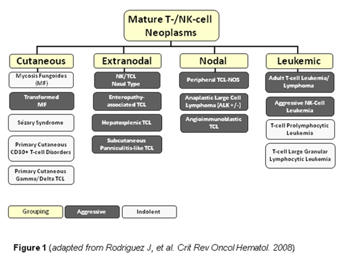 File:PTCL-subtypes.jpg