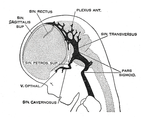 File:Gray485.png