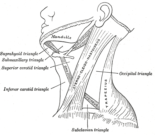 File:Gray512.png