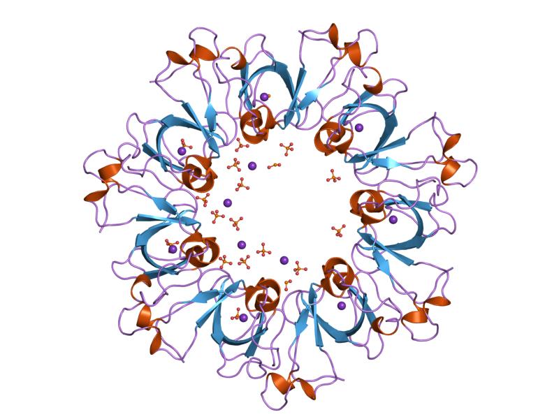 File:PDB 1g31 EBI.jpg