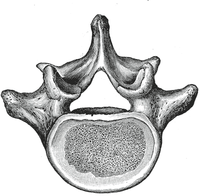 File:Gray94.png