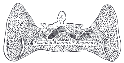 File:Gray324.png
