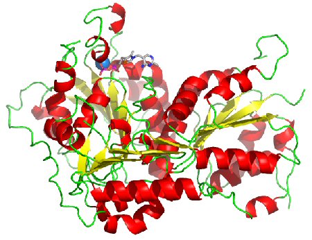 File:1pvd with TPP.jpg