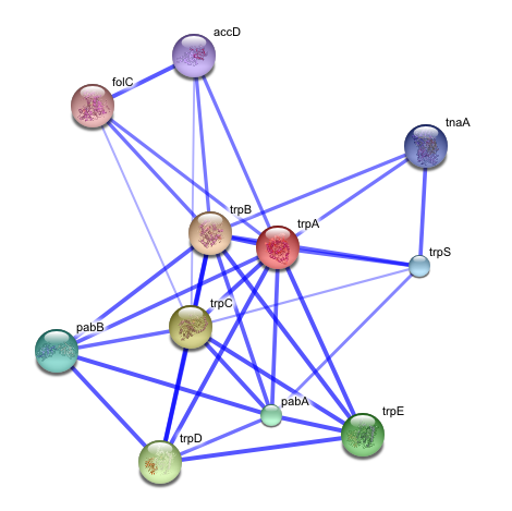 File:STRING network image.png