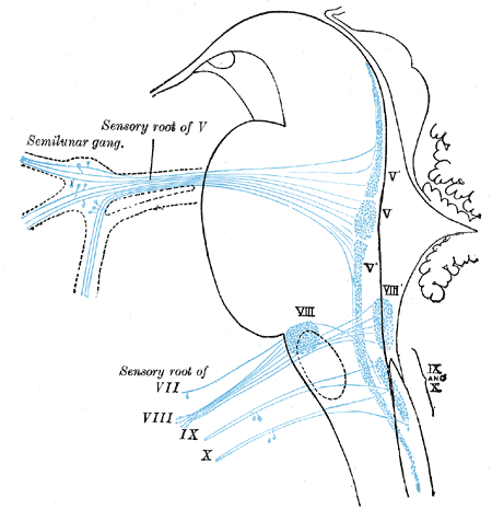 File:Gray698.png