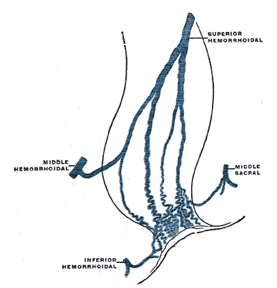 File:Gray587.png