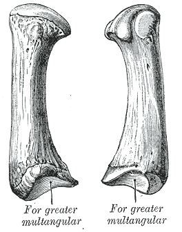 File:Gray229.png
