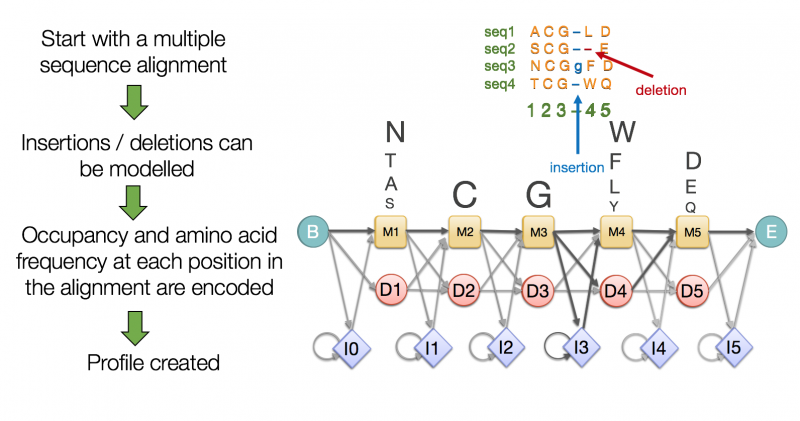 File:A profile HMM modelling a multiple sequence alignment.png