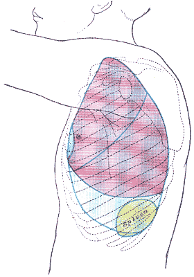 File:Gray1217.png