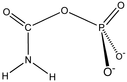 File:CarbPhos.png