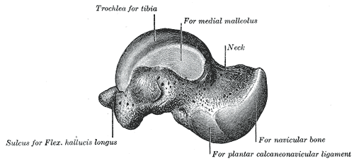 File:Gray272.png