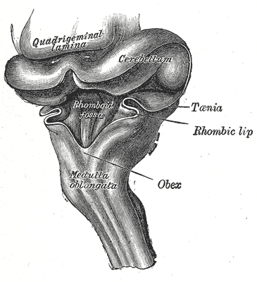 File:Gray649.png
