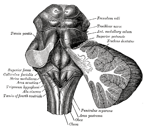 File:Gray709.png