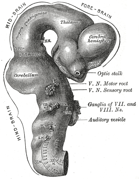 File:Gray650.png