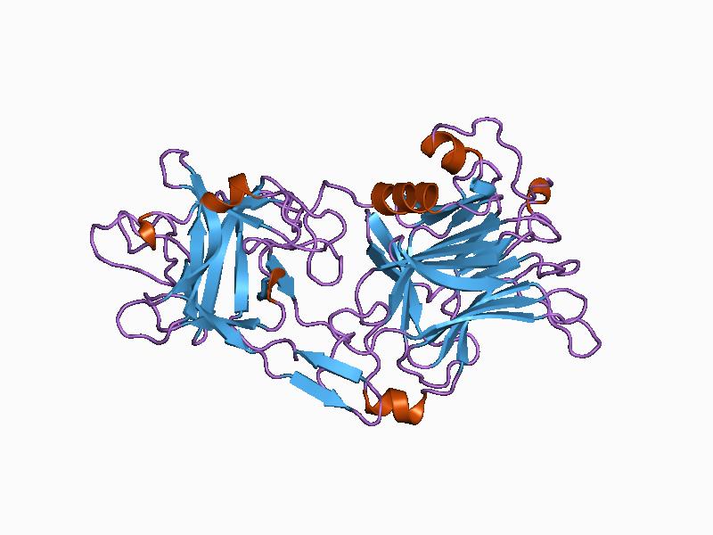 File:PDB 1a8d EBI.jpg
