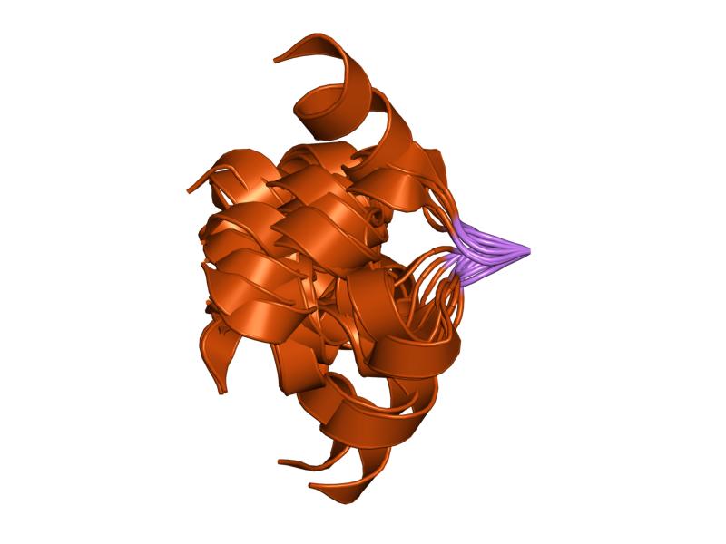 File:PDB 1myu EBI.jpg