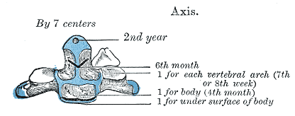 File:Gray105.png