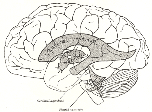 File:Gray734.png