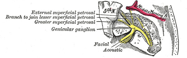 File:Gray789.png