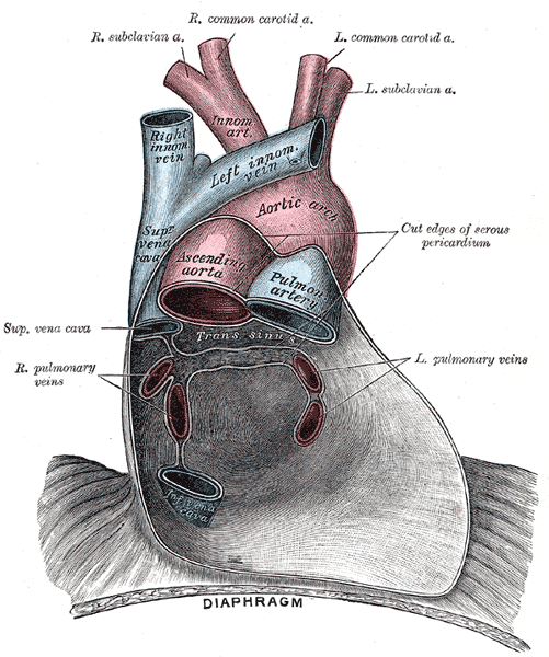 File:Gray489.png