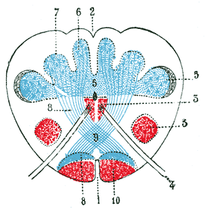 File:Gray714.png