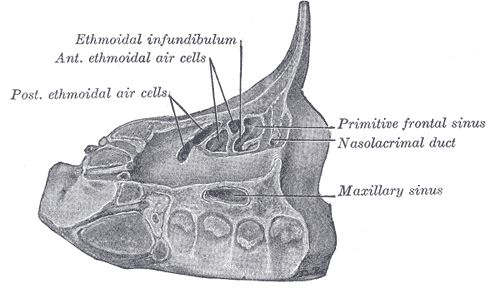 File:Gray860.png