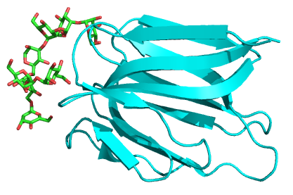 File:3ll2.png