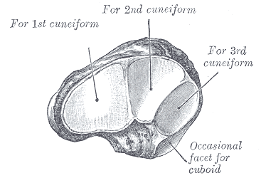 File:Gray276.png