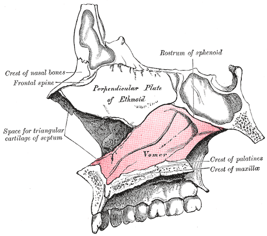 File:Gray173.png