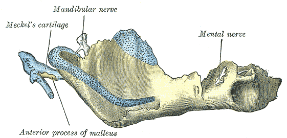 File:Gray180.png