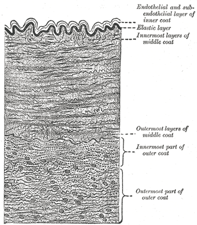 File:Gray450.png