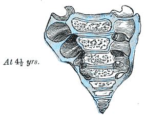 File:Gray108.png