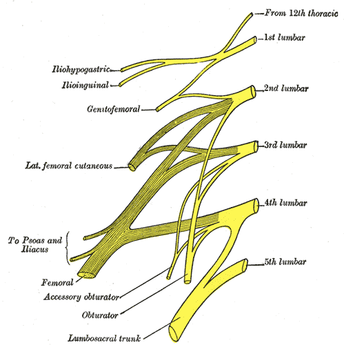 File:Gray822.png