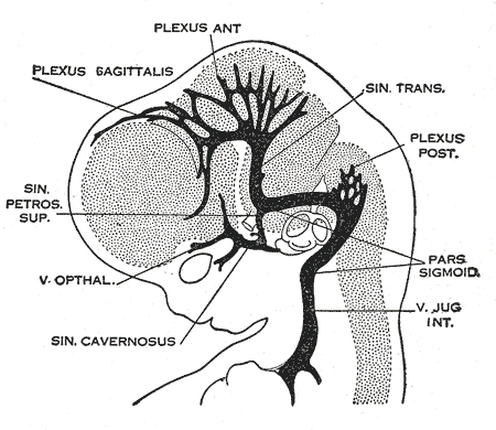 File:Gray484.png