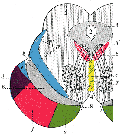 File:Gray710.png