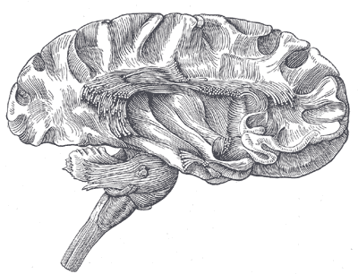 File:Gray752.png