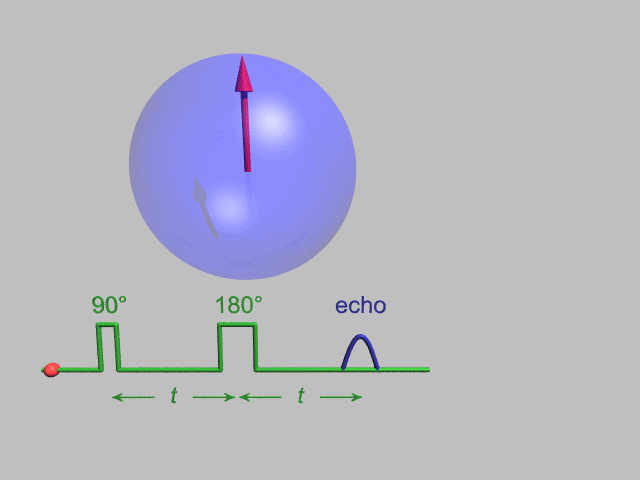 File:GWM HahnEchoDecay.gif