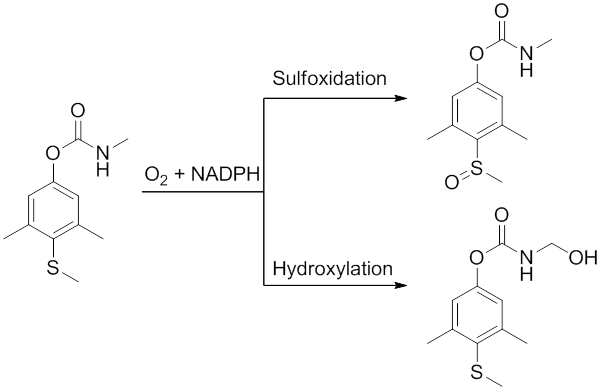 File:Methiocarb Metabolism.png