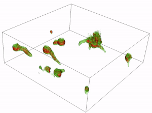 File:3D-visualization of Aspergillus niger spore germination.gif