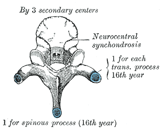 File:Gray102.png