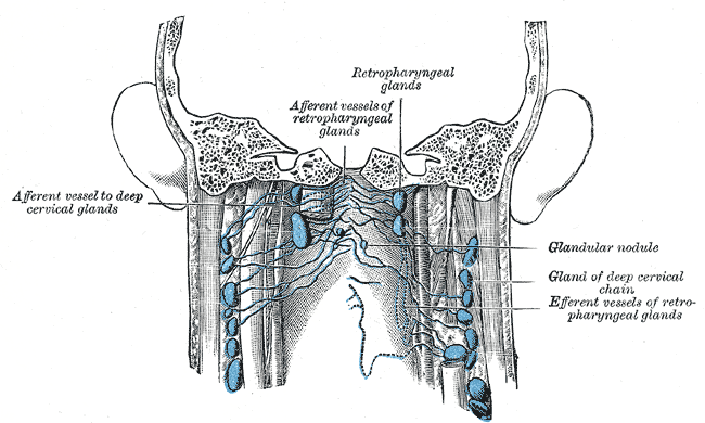 File:Gray603.png