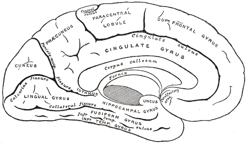 File:Gray727.png