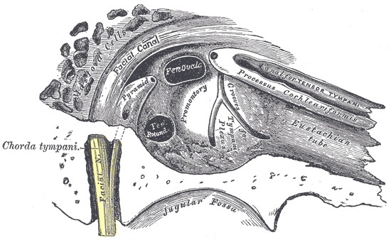 File:Gray911.png