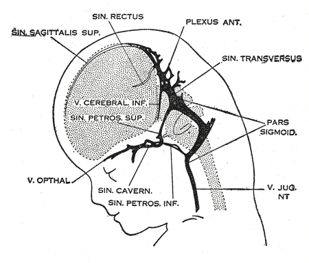 File:Gray486.png
