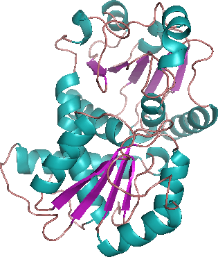 File:OTC structure.png