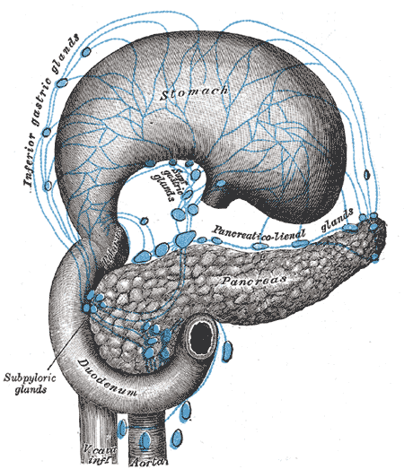 File:Gray614.png